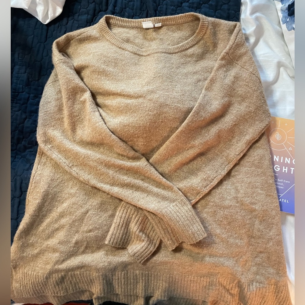Gap sweater. Big and roomy. Price is negotiable